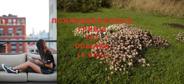 прущая мука Белокуриха