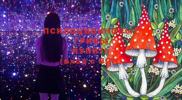 гашик Белоозёрский