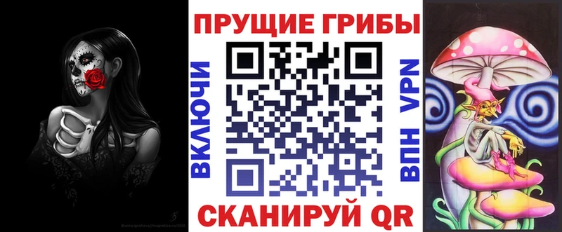 Галлюциногенные грибы Psilocybine cubensis  Мглин 